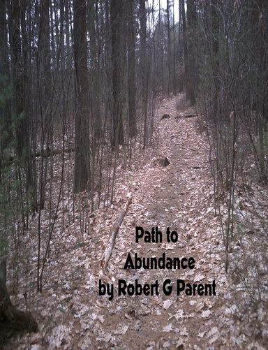 Path to Abundance