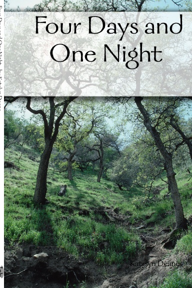 Four Days and One Night
