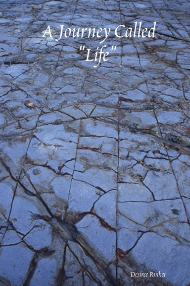 A Journey Called "Life"