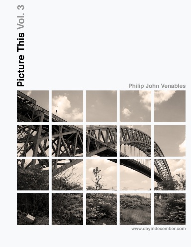 PictureThis Volume 3