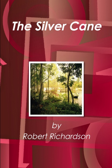 The Silver Cane