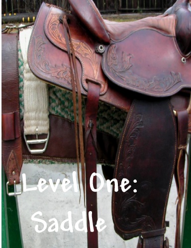 Level One--Saddle
