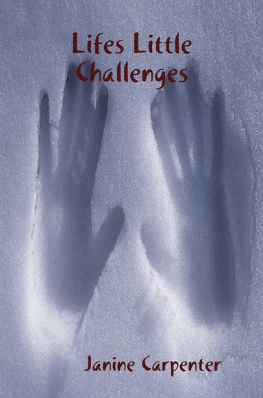 Lifes Little Challenges