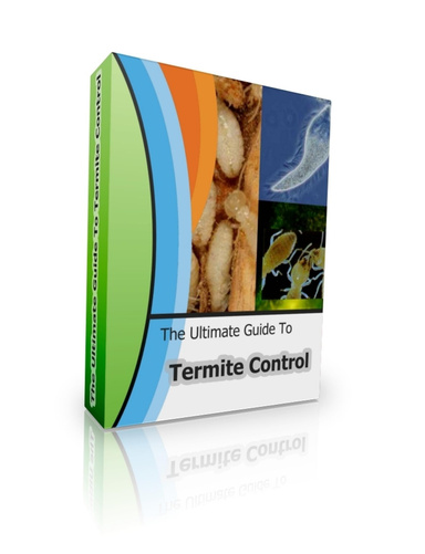The Ultimate Guide To Termite Control