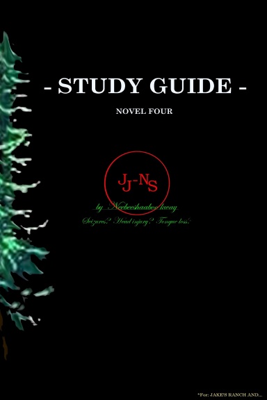 STUDY GUIDE    *novel four