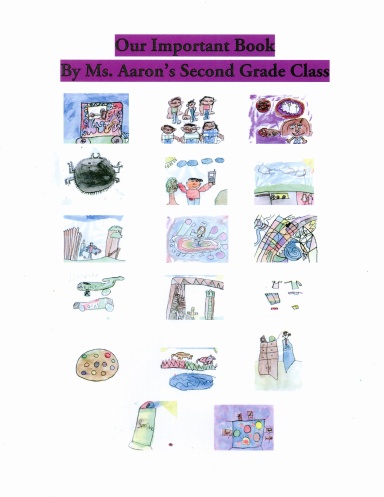 Our Important Book Ms. Aaron
