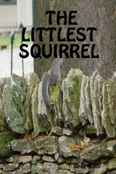 THE LITTLEST SQUIRREL