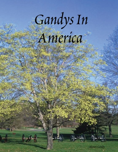 Gandys In America