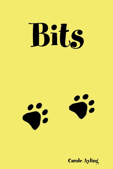 Bits