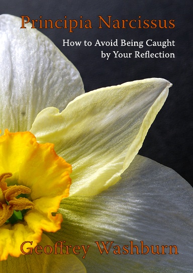 Principia Narcissus: How to avoid being caught by your reflection