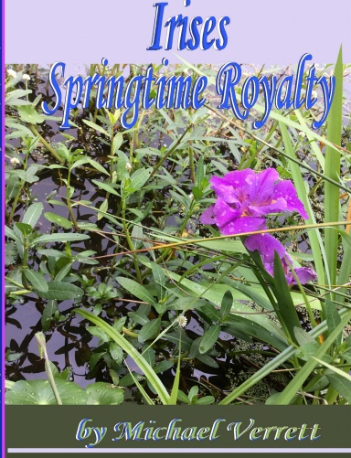 Irises Springtime Royalty