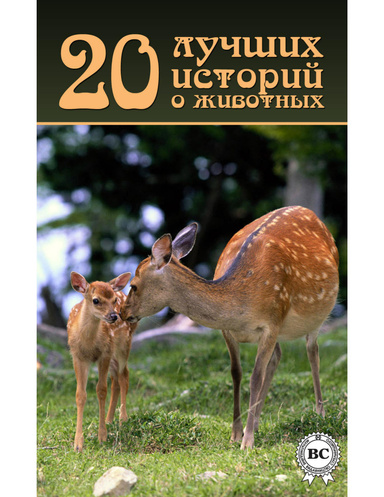 20 лучших историй о животных