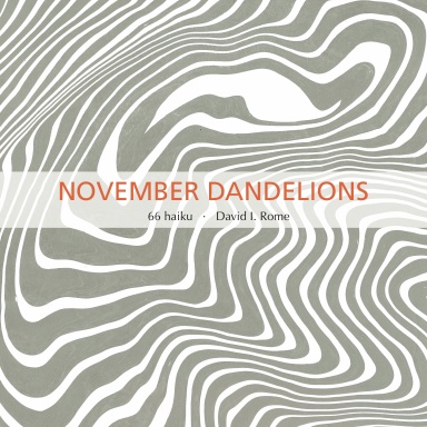 November Dandelions