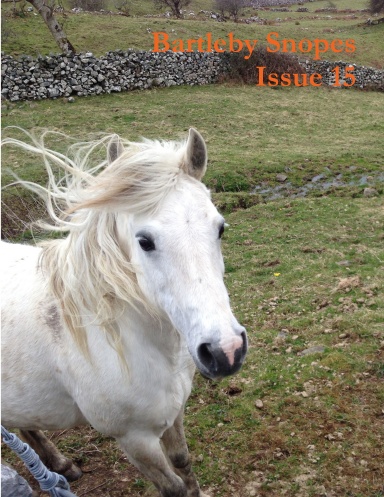 Bartleby Snopes Issue 15