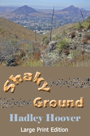 Shaky Ground (LP)
