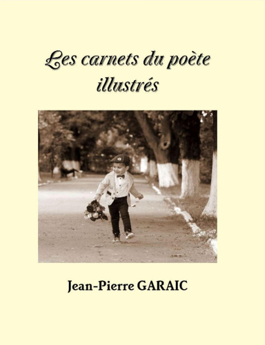 Les carnets du poète illustrés