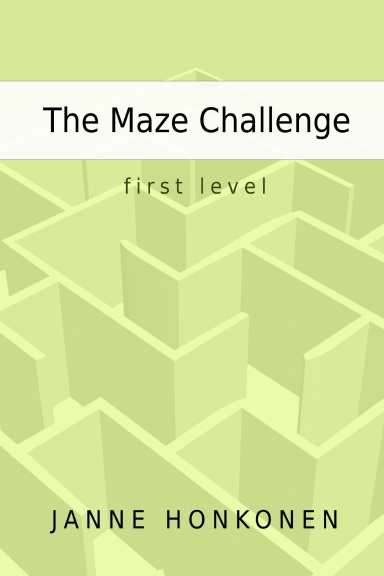 The Maze Challenge - First level