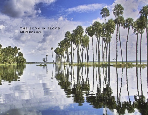 The Econ in Flood