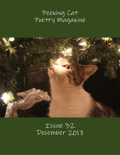 Peeking Cat Poetry Magazine Issue 32 - December 2017