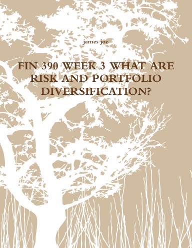 FIN 390 WEEK 3 WHAT ARE RISK AND PORTFOLIO DIVERSIFICATION?