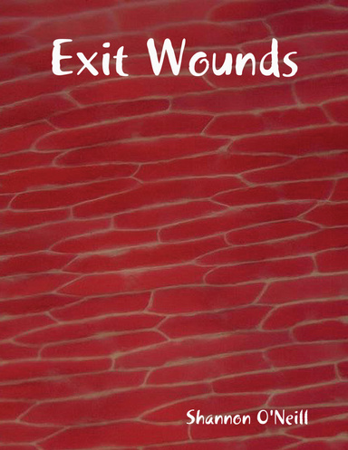 Exit Wounds