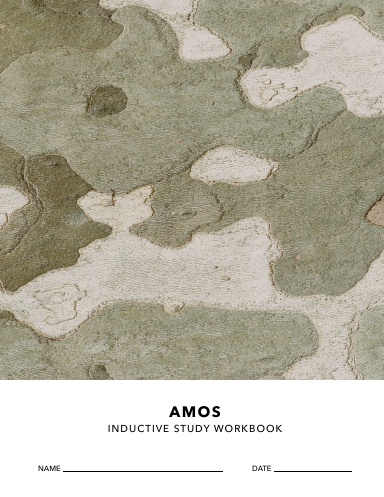 Amos Inductive Study Workbook