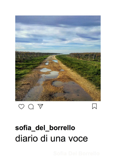 Diario di una Voce