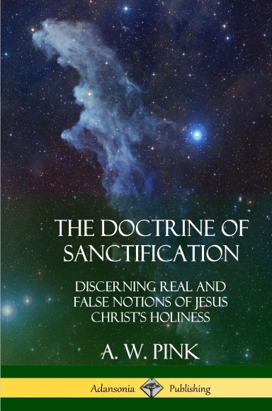 The Doctrine of Sanctification: Discerning real and false notions of Jesus Christ’s Holiness (Hardcover)