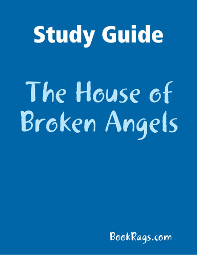 Study Guide: The House of Broken Angels
