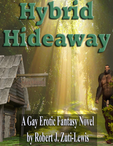 Hybrid Hideaway