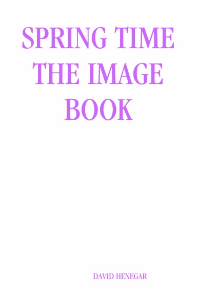 SPRING TIME THE IMAGE BOOK