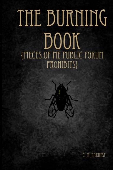 The Burning Book