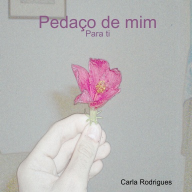 Pedaço de mim
