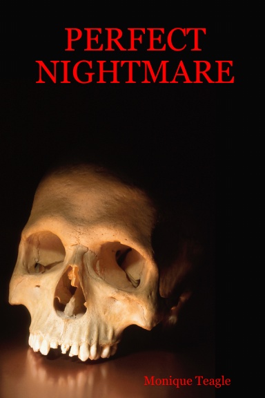 PERFECT NIGHTMARE