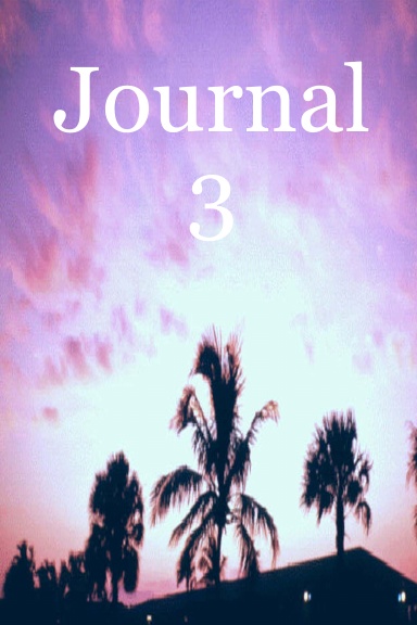 Journal 3