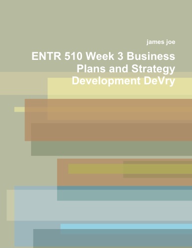 ENTR 510 Week 3 Business Plans and Strategy Development DeVry