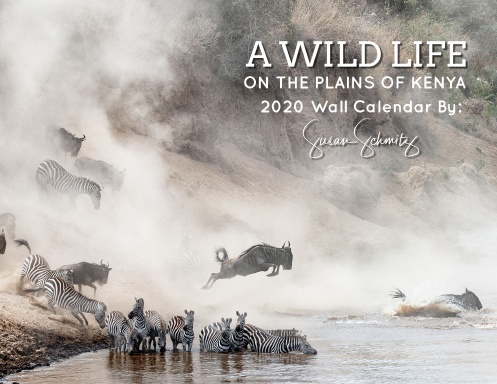 A Wild Life on the Plains of Kenya 2020 Wall Calendar