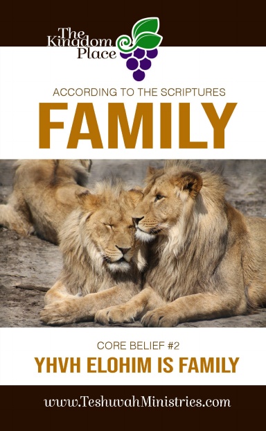 YHVH ELOHIM IS FAMILY