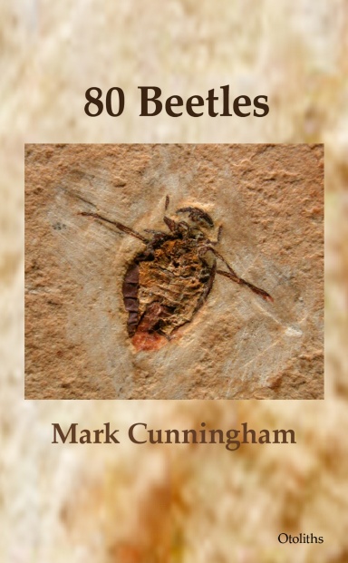 80 Beetles