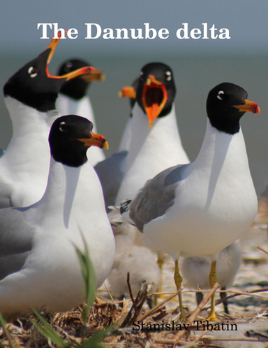 The Danube delta