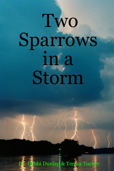 Two Sparrows in a Storm