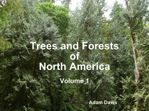 Trees and Forests of North America: Volume 1