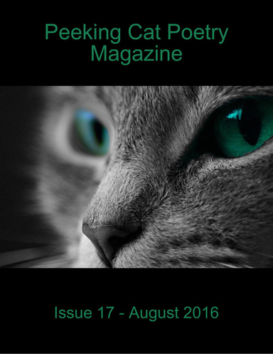 Peeking Cat Poetry Magazine Issue 17 - August 2016