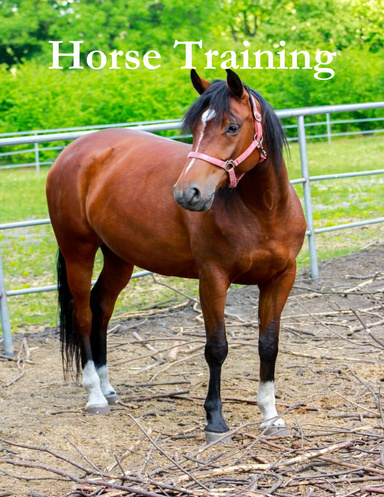 Horse Training