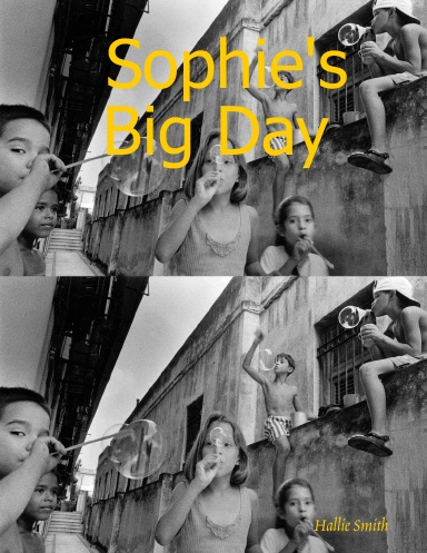 Sophie's Big Day
