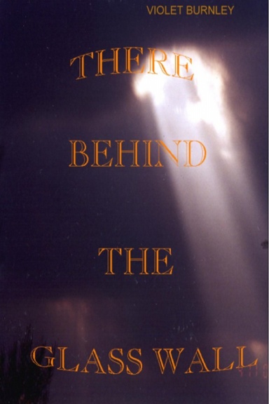 There, Behind the Glass Wall