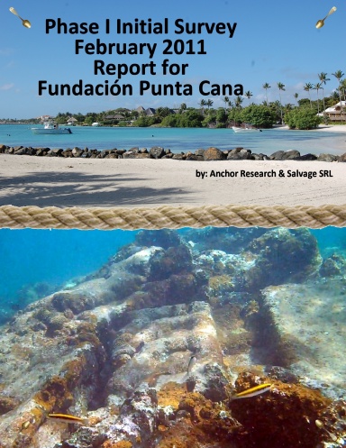 PHASE 1 INITIAL SURVEY