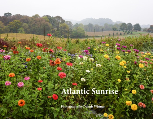 Atlantic Sunrise