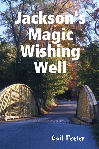 Jackson's Magic Wishing Well