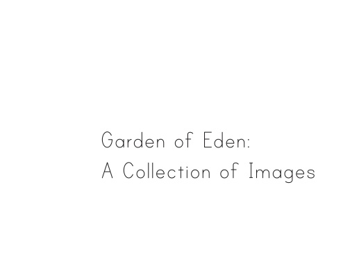 Garden of Eden: A Collection of Images